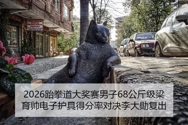 2026跆拳道大奖赛男子68公斤级梁育帅电子护具得分率对决李大勋复出